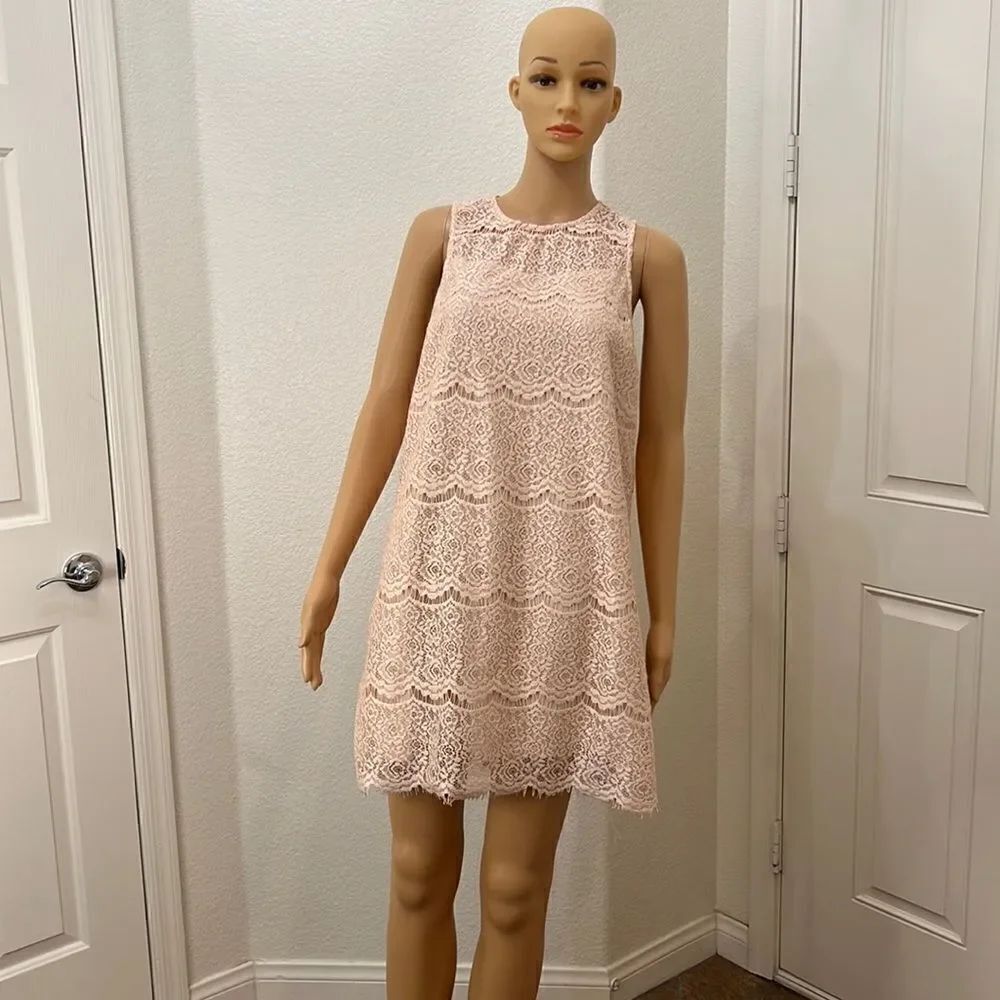 Bleuh Ciel Womans Dress Large Blush Pale Pink Floral Lace Dress Mini Lined Zippe